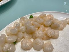 -新吉士·上海菜(浦东LCM置汇旭辉店)