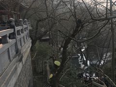 -西安国际创新人才交流中心•药浴温泉
