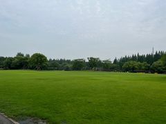 -上海滨江森林公园