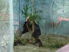 -海南热带野生动植物园