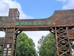 -溱湖国家湿地公园