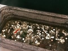 -高第街56号港式餐厅·精选(世茂广场宽厚里大明湖店)