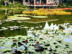 -国家植物园南园