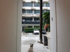 -JUKEBOX玖部音乐餐厅(华侨城店)