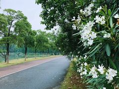 -艾溪湖湿地公园