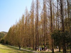 -南京金牛湖风景区