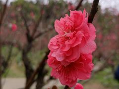 -白水带风景区体育公园