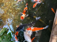 -聚缘堂·海鲜私房菜(松岭路店)