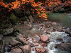 -光雾山旅游景区