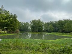 -桤木河湿地公园