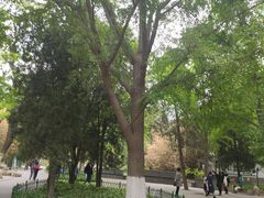 -宣武艺园