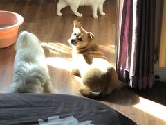 -美联众合24小时·皮肤科·外科·全科诊疗中心(华苑分院)