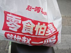 -赵一鸣零食(江苏南京福园街店)
