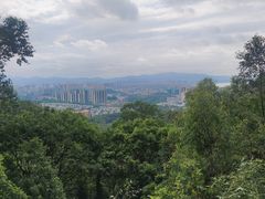 -大雁山风景区