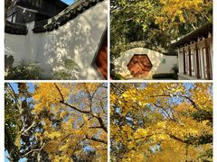 -汇龙潭