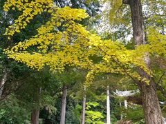 -醍醐寺