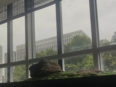 -同庆楼(天鹅酒家店)