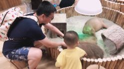 点击看大图 -七巧国萌宠乐园(龙湖天街店)