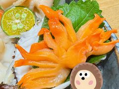 赤貝刺身-赤稻·日式料理(禅城店)