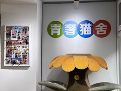 -青奢宠物·青奢猫舍