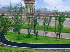 -九龙湖公园