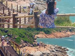 -广东惠东海龟国家级自然保护区
