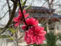 -中山公园