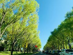 -亿利库布其七星湖沙漠生态旅游区