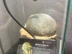 -中华赏石园