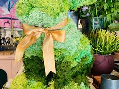 -PlantsEatery·植物食堂(REX春熙店)