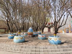 -石家庄市植物园