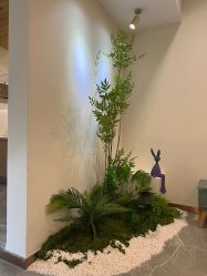 -FUMEIHUI·科技美肤·美体SPA