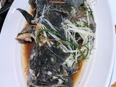 -大锅强·蒸海鲜青岛菜(吾悦广场店)