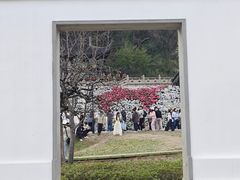 -苏州上方山国家森林公园
