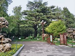 -中山公园音乐堂