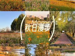 -洋湖国家湿地公园