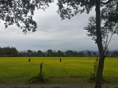 -瑞穗牧场