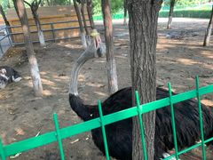 -长白岛森林公园