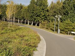 -东郊湿地公园