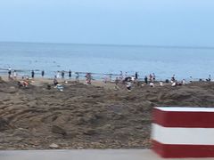 -日照海滨国家森林公园
