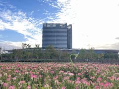 -春花秋色城市公园