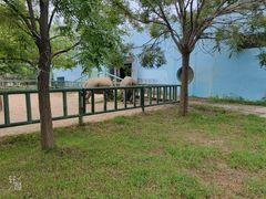 -秦皇岛野生动物园