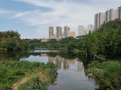 -重庆彩云湖湿地公园