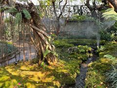 -Chom Cafe and Restaurant