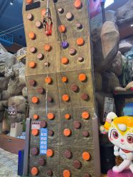 -卡通尼·Safari非洲探索乐园·生日会(金桥国际商业广场店)