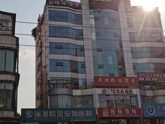 -瑞派紫金宠物医院24小时·骨科·中兽医·重症转诊中心(番禺大石院)
