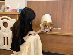 -柯斗斗主题餐厅·狗咖·围炉煮茶·茶饮(国瑞升平里店)