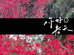 -塔子山公园