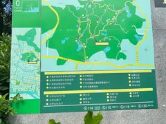 -火炉山森林公园