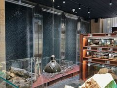 -帕帕拉兹宠物(亚洲旗舰店)